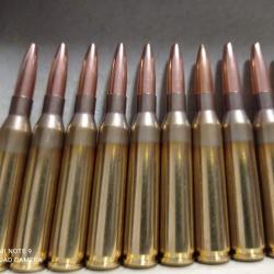 vend lots de cartouche PPU 6.5 X 57  blinder