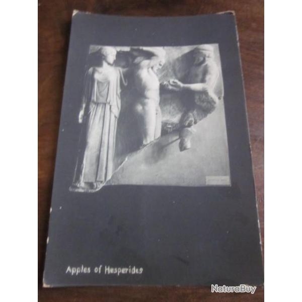 CP  APPLES OF HESPERIDES