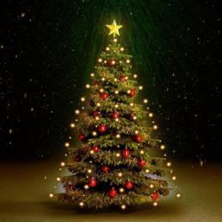 Guirlande lumineuse d arbre de Noël 180 LED IP44 180 cm 50699