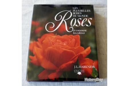 Les Plus Belles Roses Du Monde Les Plus Belles Roses Rouges à Planter