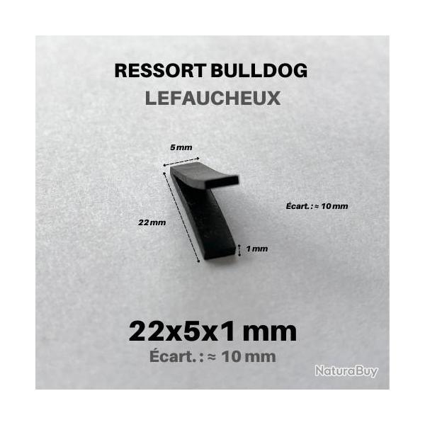 Ressort Bulldog [22x5x1] cart 10 mm