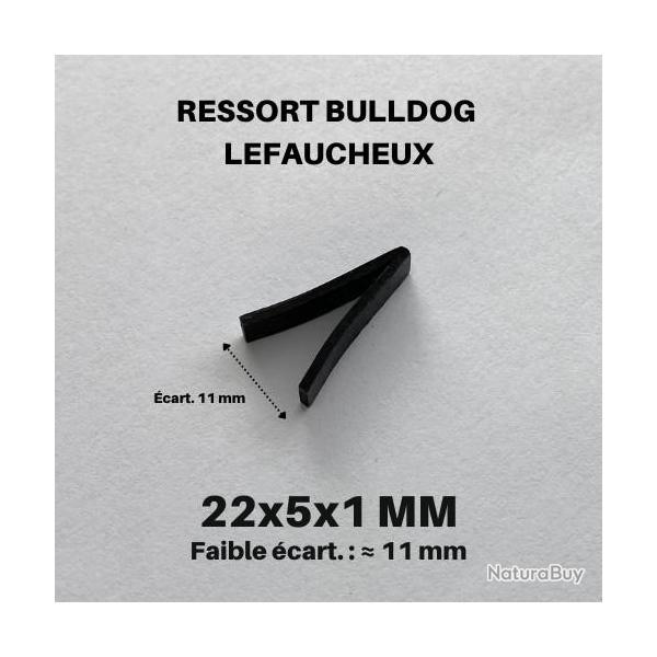 Ressort Bulldog  22 mm x 5  mm x 1 mm