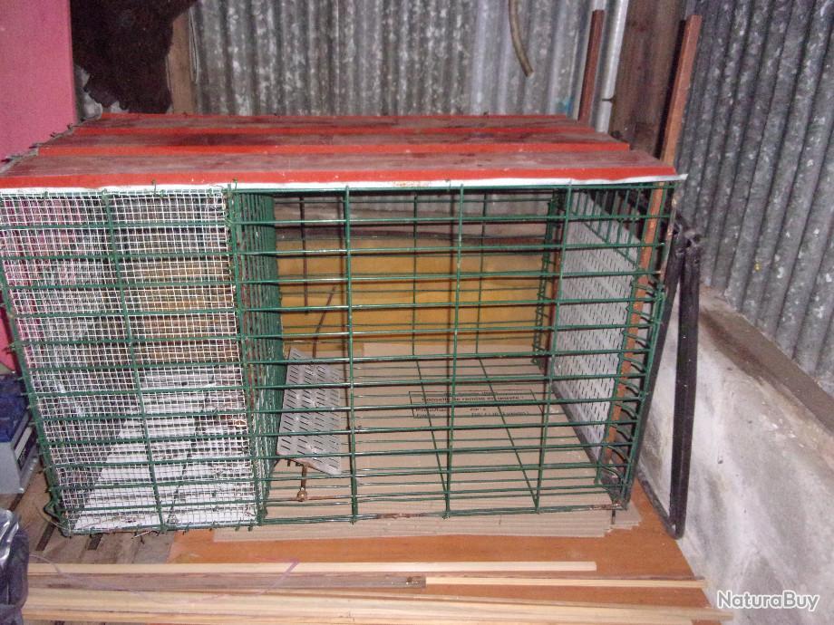 Cage / piege a guillotine Pièges cages et belettières (8716158)