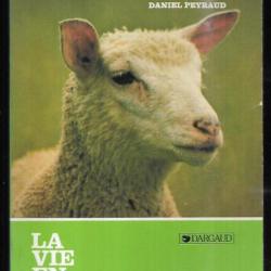 les moutons de daniel peyraud  la vie en vert rustica