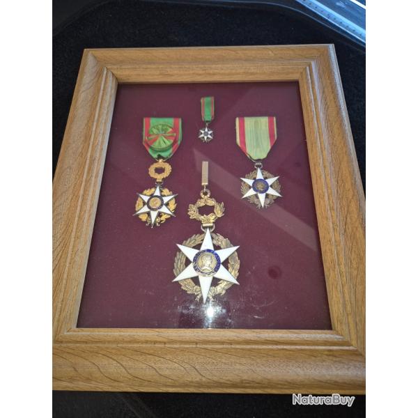 Ensemble des trois ordre du mrite agricole et miniature de chevalier