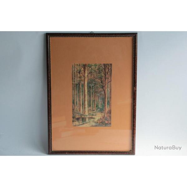 Tableau Aquarelle Sous bois L. Taponnier