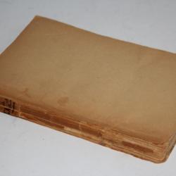 Livre Guide pratique de l'ascensionniste Schaub Briquet 1870