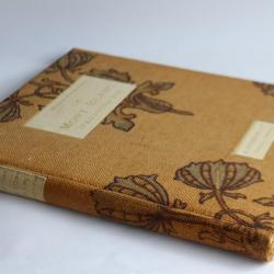 Livre Le Mont-Blanc d'aujourd'hui Henri Ferrand A. Eggimann 1912