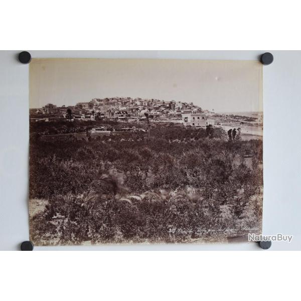 Photo BONFILS Palestine Vue de Jaffa prs des jardins