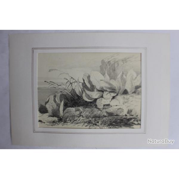 Dessin original au crayon