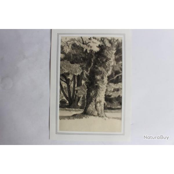 Dessin original au fusain