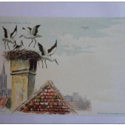 CPA illustrée HAAS Lithographie de Strasbourg Cigogne