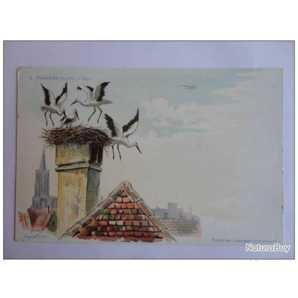 CPA illustre HAAS Lithographie de Strasbourg Cigogne