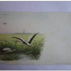 CPA illustrée HAAS Lithographie de Strasbourg Cigogne