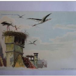 CPA illustrée HAAS Lithographie de Strasbourg Cigogne