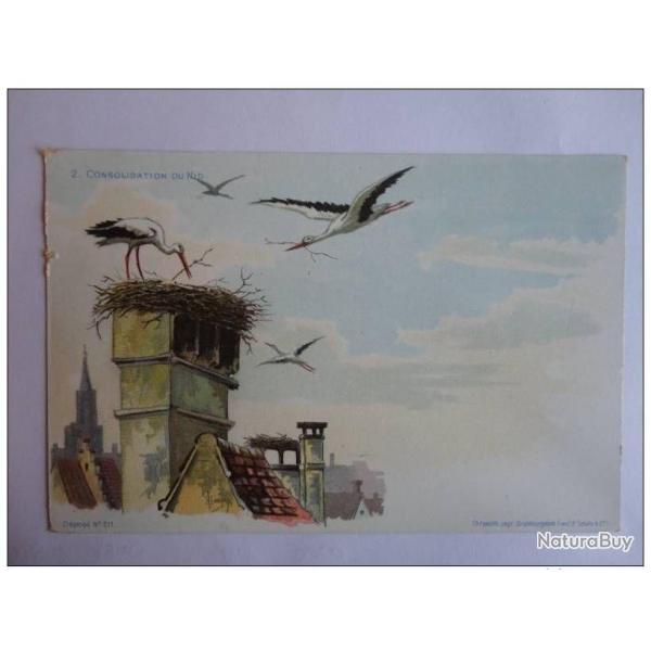 CPA illustre HAAS Lithographie de Strasbourg Cigogne
