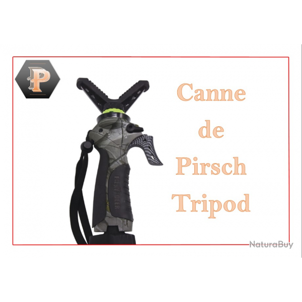 Canne de Pirsch tripod quick stick