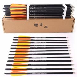 12pc Flèches de chasse 30 Flèches carbone sp500 pour arc recourbé arc à poulies