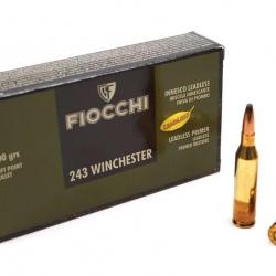 Munitions FIOCCHI 243 WIN 100GRS