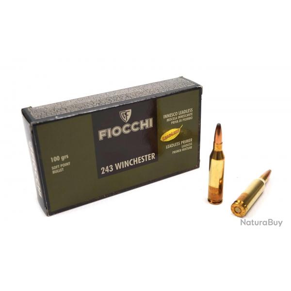 Munitions FIOCCHI 243 WIN 100GRS
