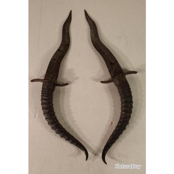 2 dagues poignard de Touareg Cornes de gazelles couteau XIXe