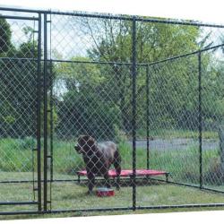 Chenil en acier 300 x 150 x 183 cm pour chiens - Mailles en losange - Livraison gratuite et rapide