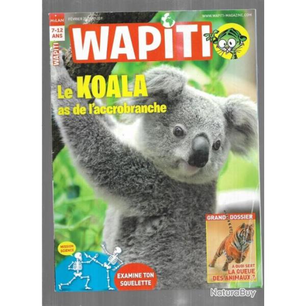 wapiti 359 fvrier 2017, 7-12 ans , koalas , la queue des animaux, ,plongeon imbrun , squelette