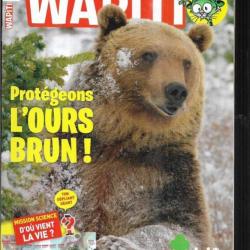 wapiti 357 décembre 2016, 7-12 ans , l'ours brun, cacatoès, éco-écoles, reboisement sahel, pole nord