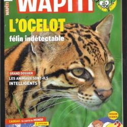 wapiti 354 sptembre 2016, 7-12 ans ,l'ocelot, des bêtes pas bêtes, éclipse, secours animaux