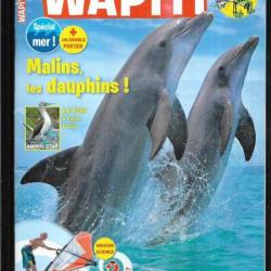 wapiti 352 juillet  2016, 7-12 ans , dauphins, fou à pieds bleus, océanopolis