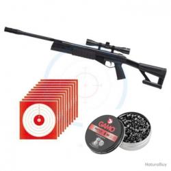 Carabine à plomb Crosman F4 NP cal 4.5 + 250 plombs + 10 cibles - Livraison Offerte