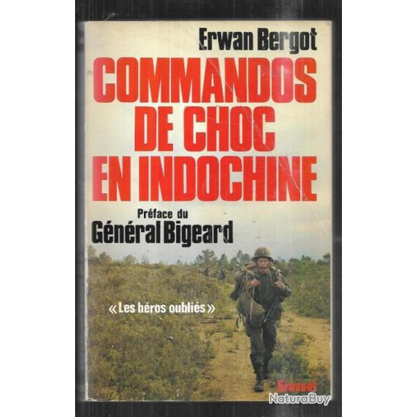 Commandos de choc en indochine d'erwan bergot.