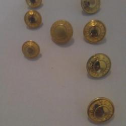 Légions étrangère boutons dorées