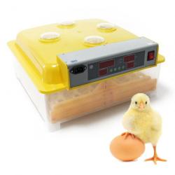 Couveuse automatique 48 oeufs appareil couver incubateur 4 fenêtres surveillance 16_0001259