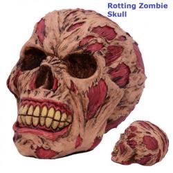 Crane rotting zombie skull pour offrir