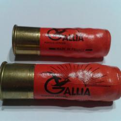 2 cartouches Chevrotines GALLIA Calibre 16 pour collection