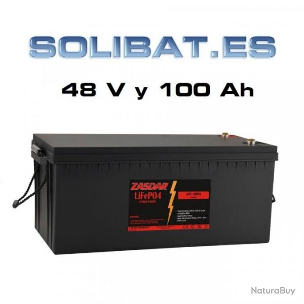 Batterie LiFePo4 48V 100Ah