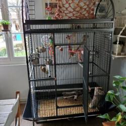 Cage perroquet xl état impeccable