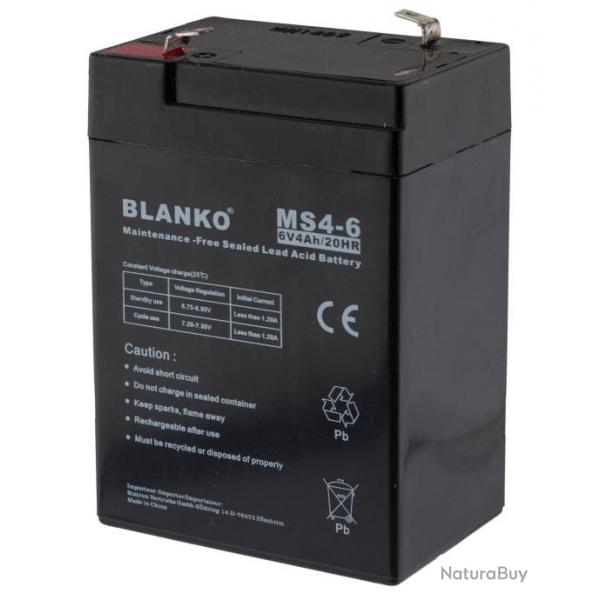 Batterie rechargeable MS4-6 6 volts-MS4-6