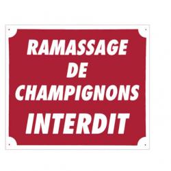 Panneau ''Ramassage de champignons interdit'' 30 x 25 cm-Aluminium