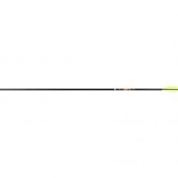 12 Flèches XX75 Tribute Easton 1916