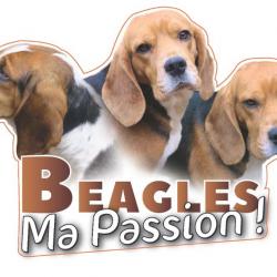 Autocollant "Beagle Ma Passion"