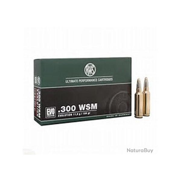 RWS Balles de chasse Evo - par boite de 20  300 WSM   184Gr