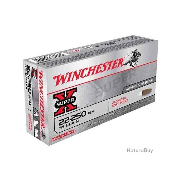WINCHESTER Balles de chasse Power point - par boite de 20  22-250 REMINGTON   55Gr