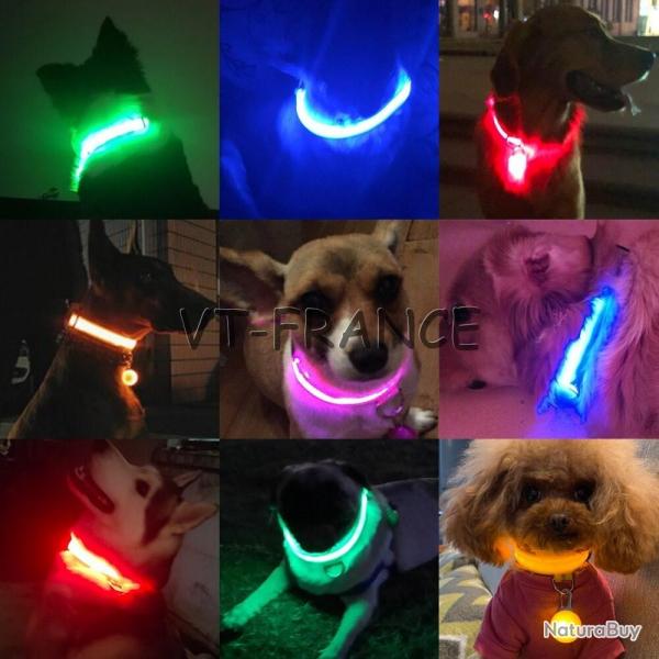 Collier LED USB pour Chiens Chiots, Couleur: Au Choix, Taille: XS 28-38cm