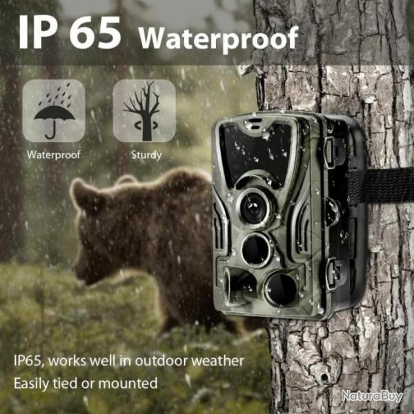 Camera de chasse Hunting Trail HC-801A,  avec filtre IR, vision nocturne, dtection de mouvement
