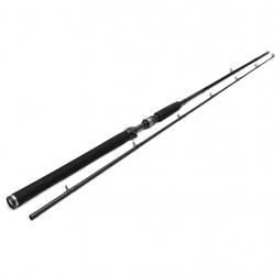 Canne W3 Jerkbait-T 2nd H 195cm (20-80gr) Westin