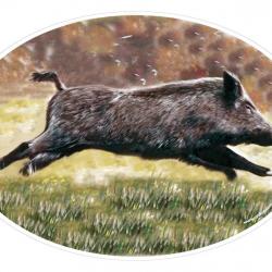 Sticker Autocollant Animalier Sanglier