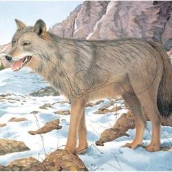 10 Blasons Loup