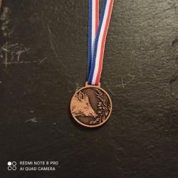 Médaille cotation trophée sanglier échelon bronze